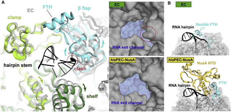 Figure 5