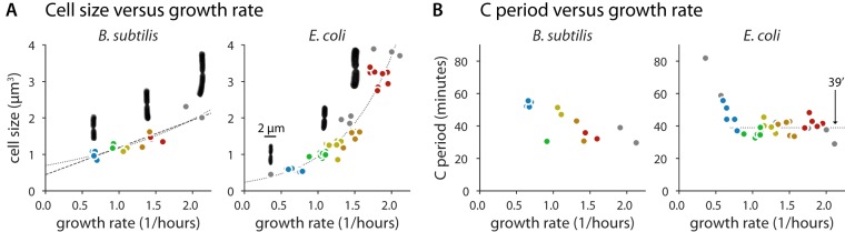 FIG 2