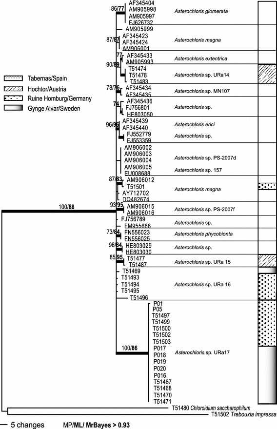 Fig. 3