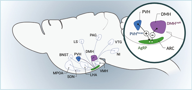 Fig. 4.
