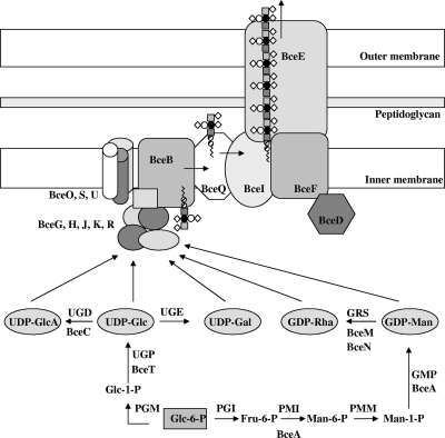 FIG. 6.