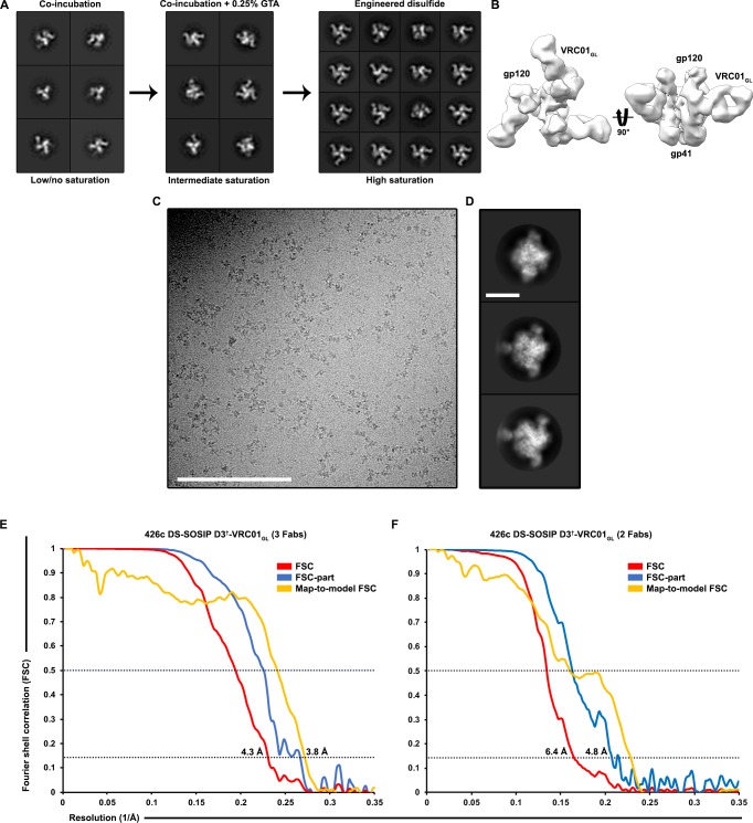 Figure 1—figure supplement 3.