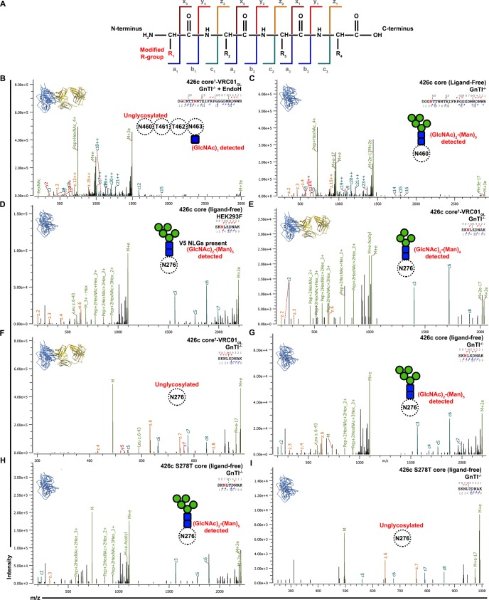 Figure 2—figure supplement 1.