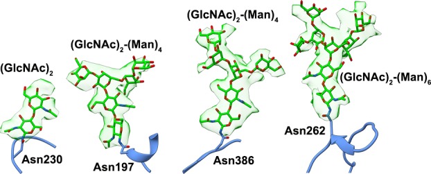 Figure 1—figure supplement 6.