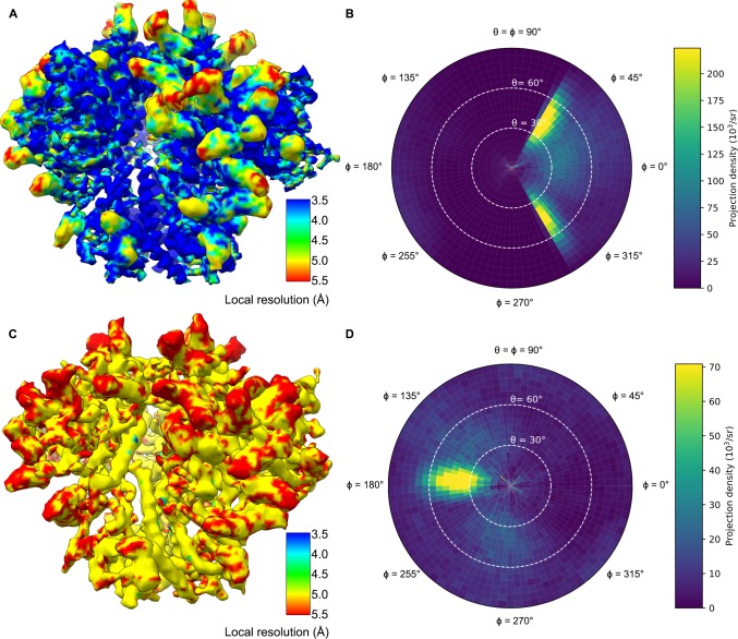 Figure 1—figure supplement 4.