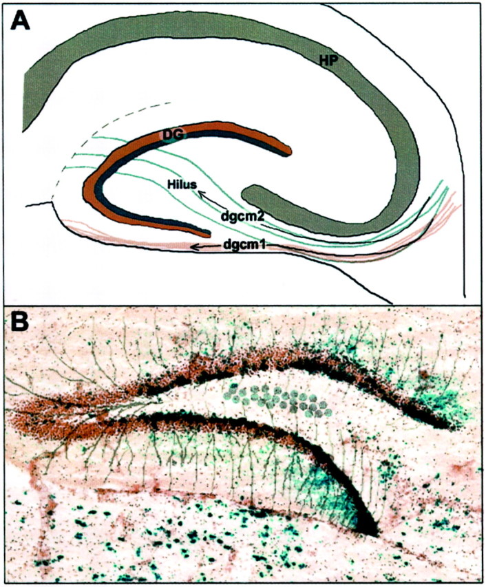 Fig. 6.