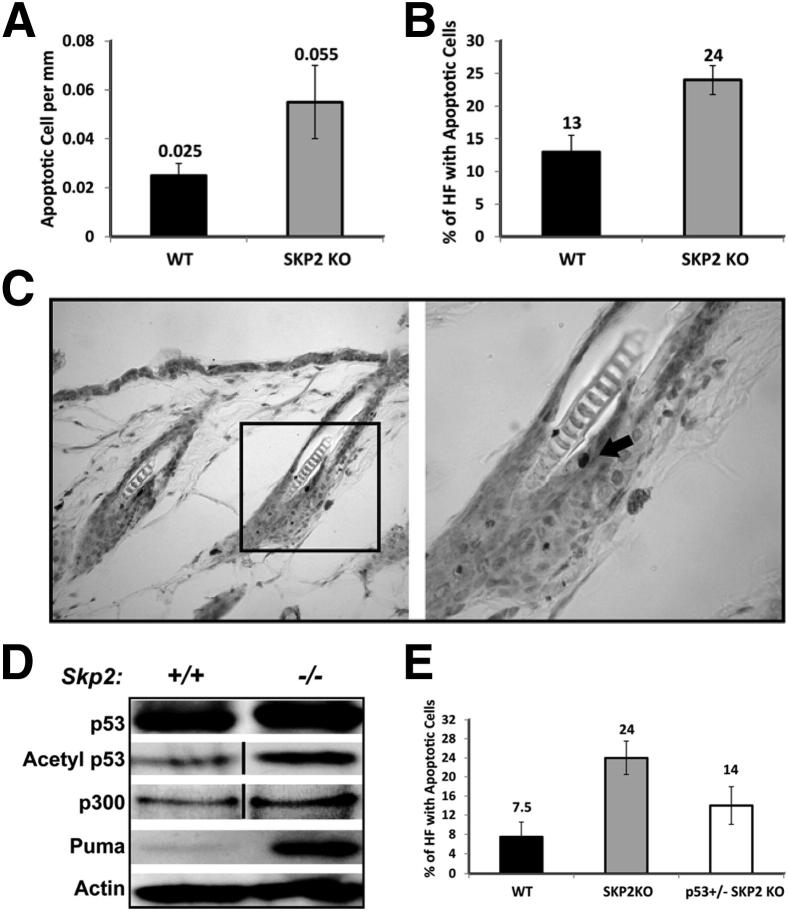 Figure 6