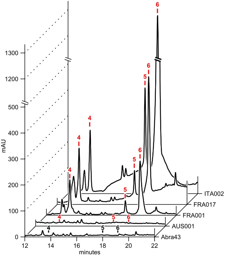 FIGURE 3