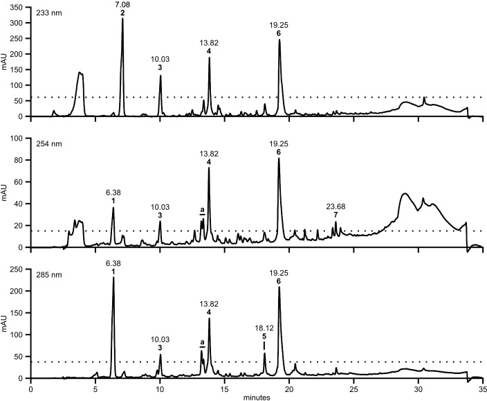 FIGURE 2