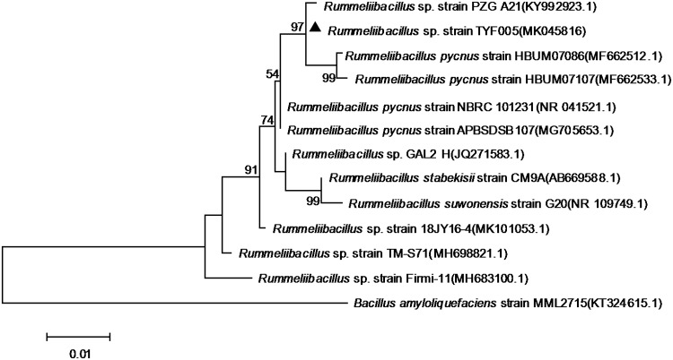 FIG 1