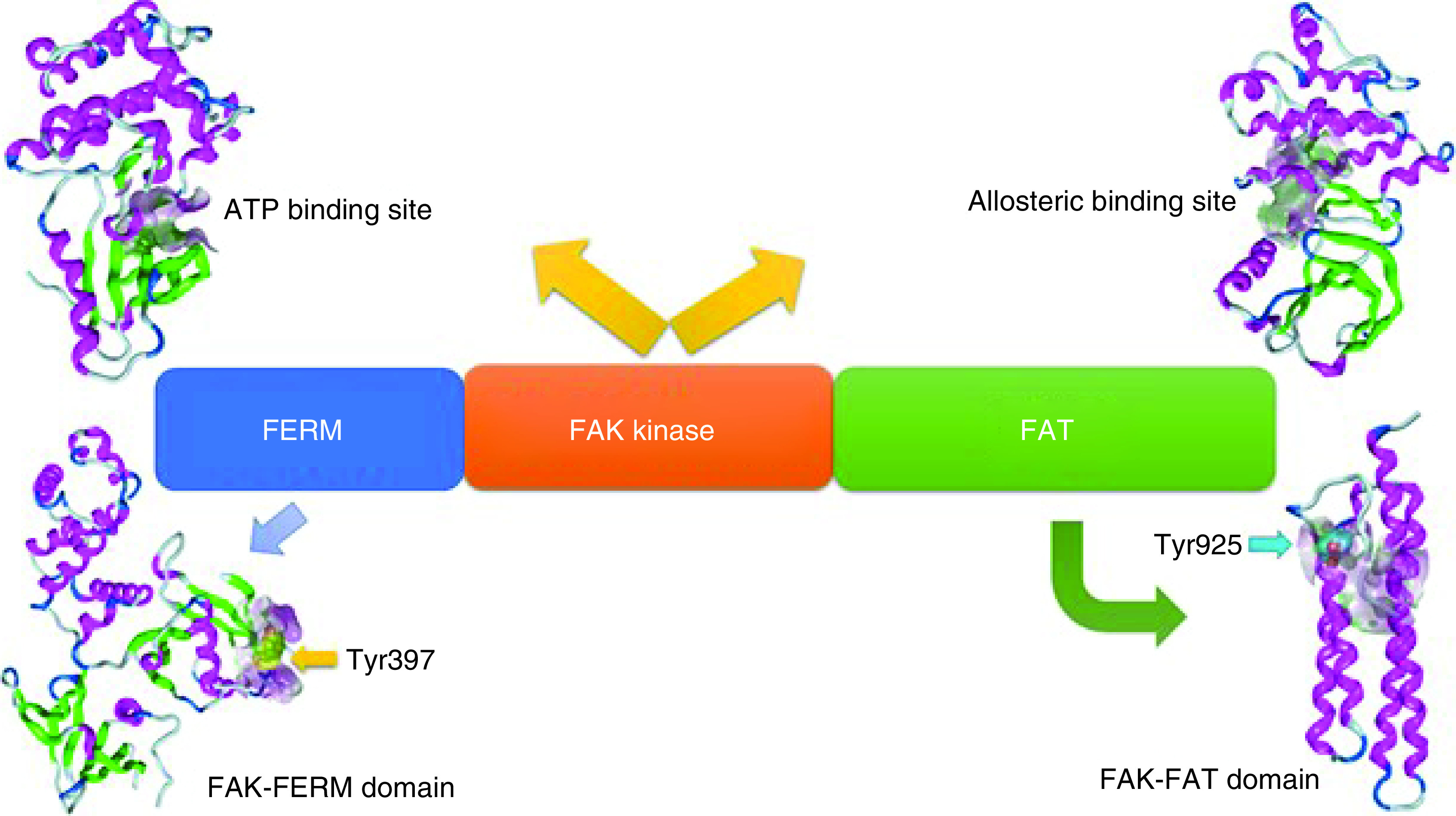 Figure 5. 