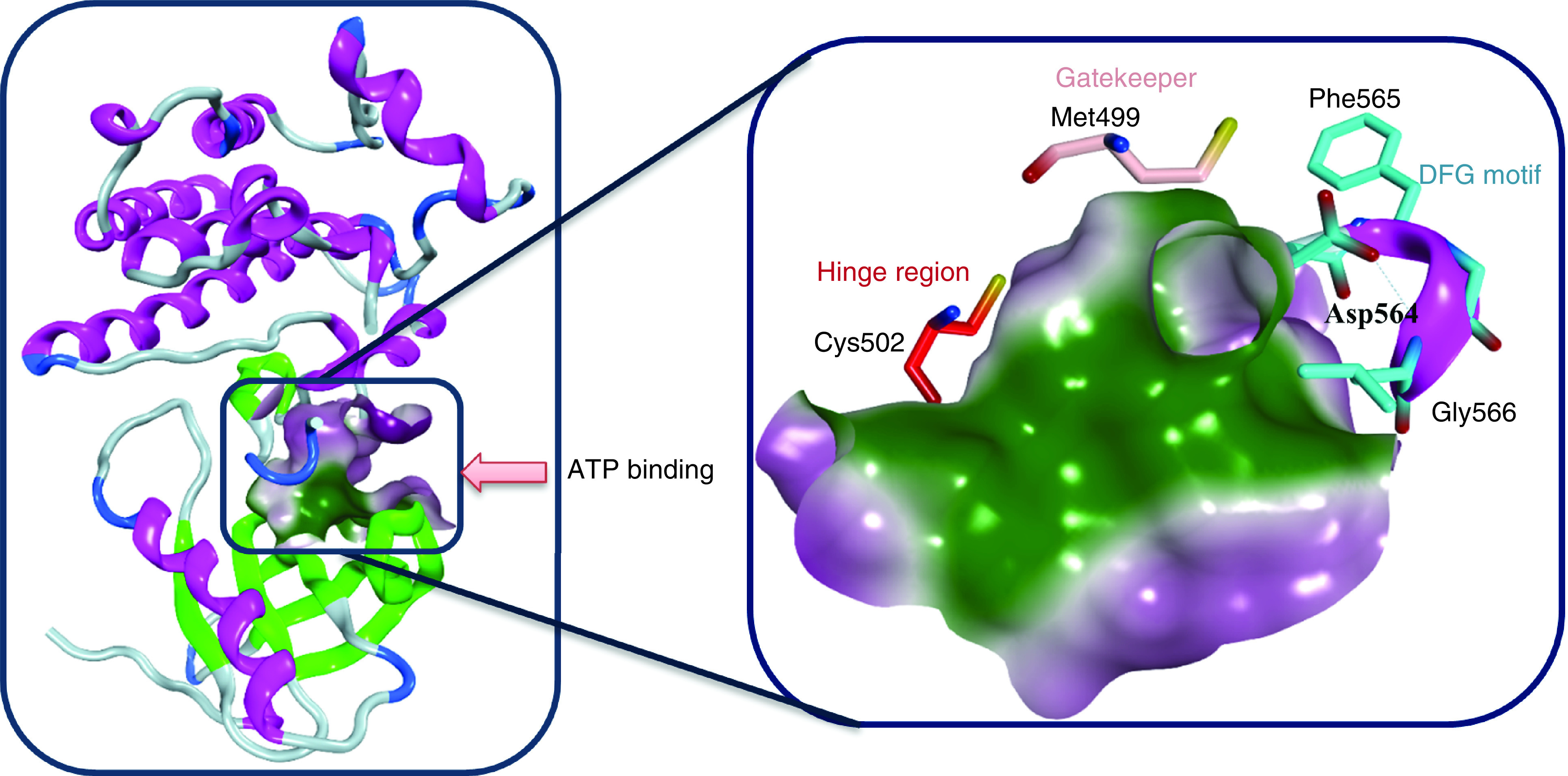 Figure 2. 