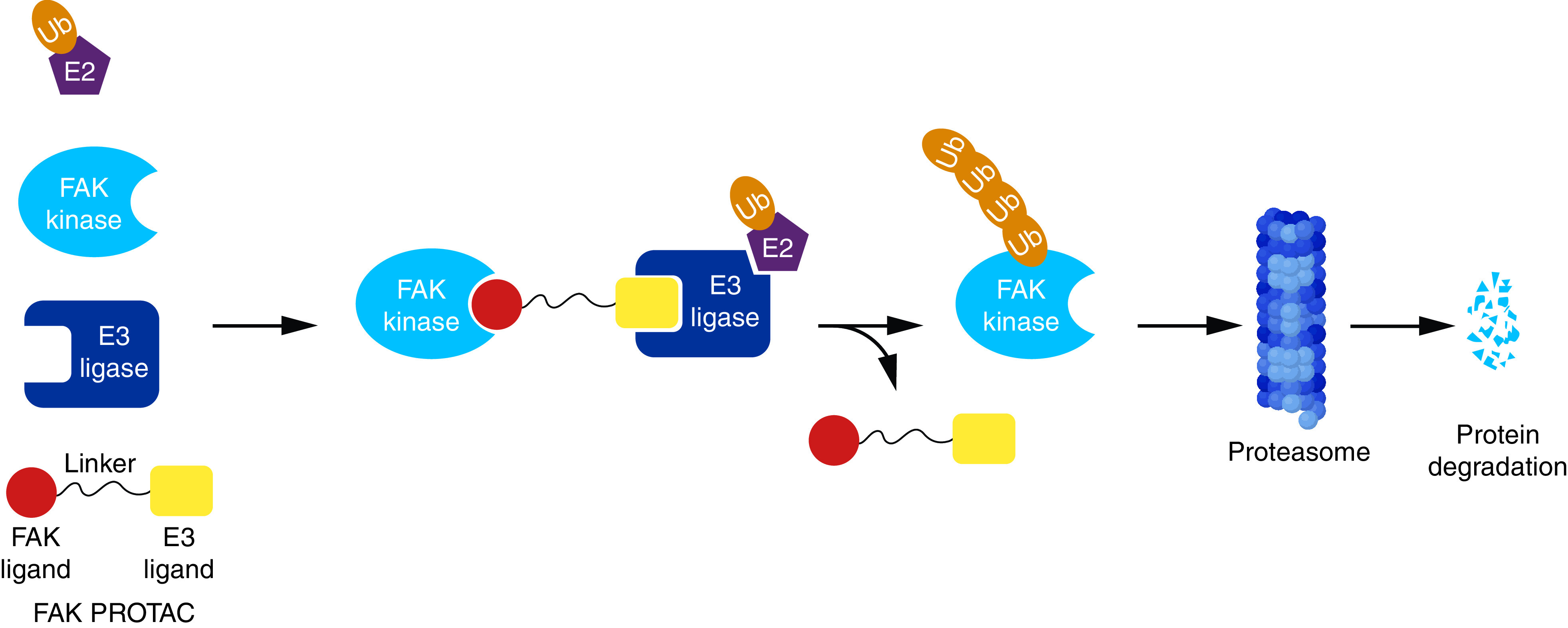 Figure 18. 