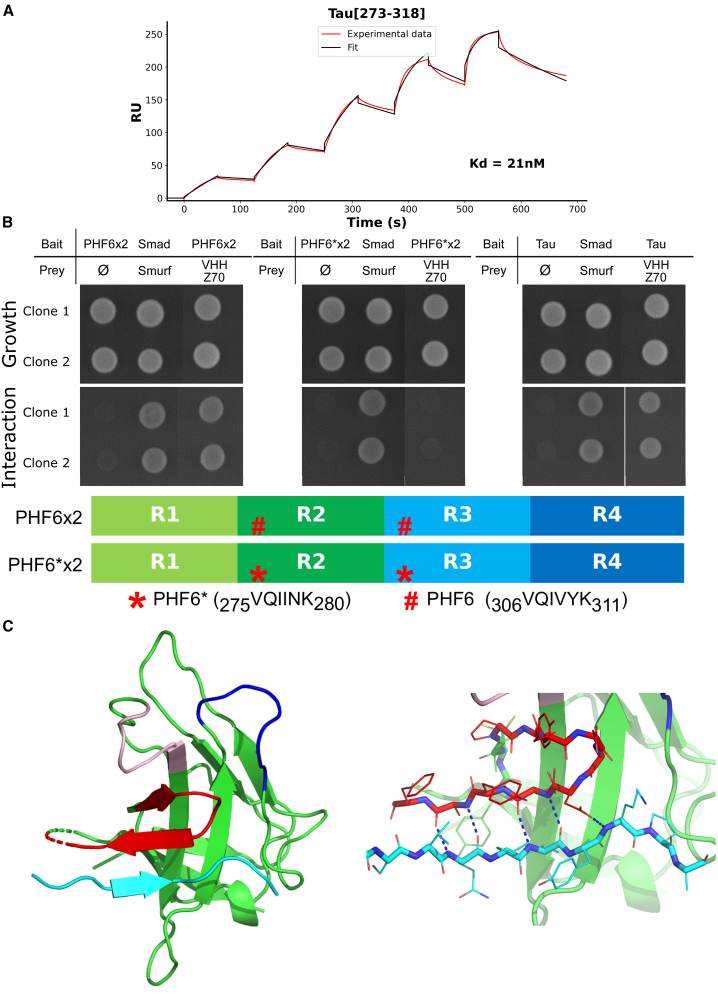 Figure 3