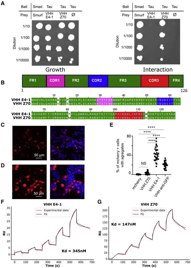 Figure 2