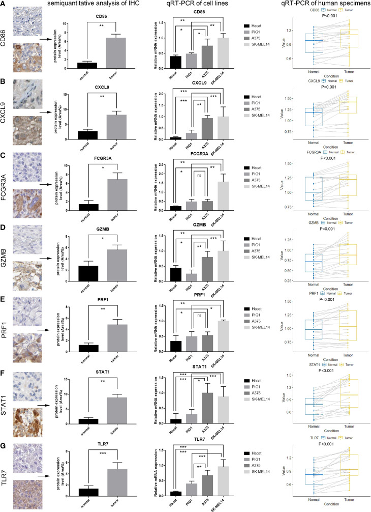 Figure 10