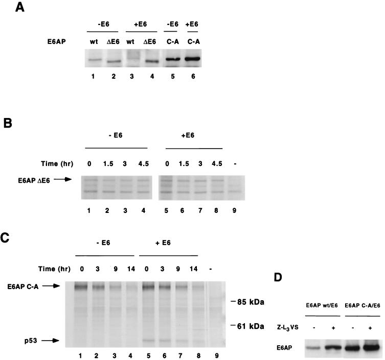 FIG. 6