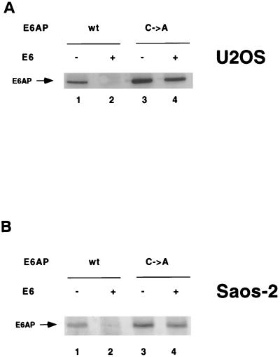 FIG. 8