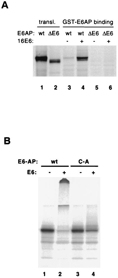 FIG. 7