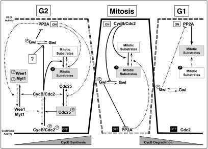 Fig. 4.