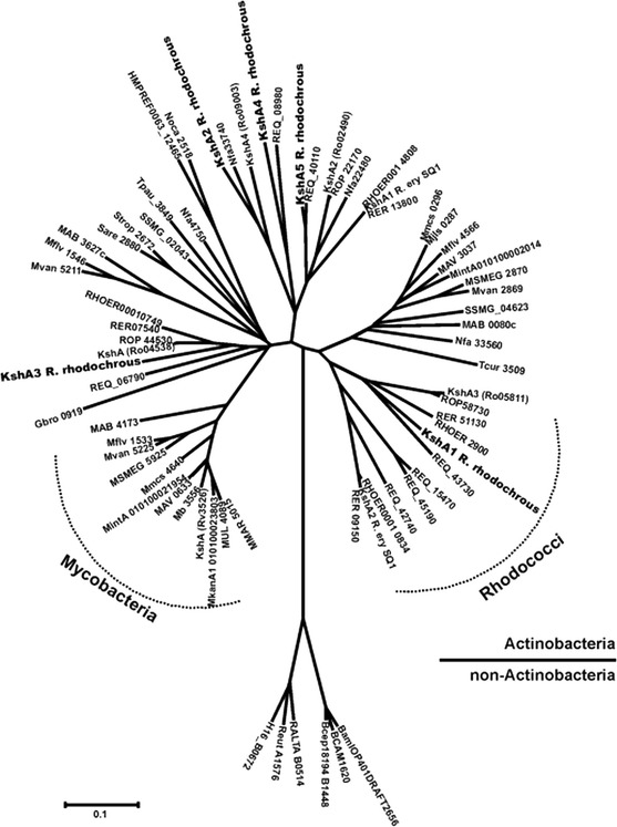 Fig. 6