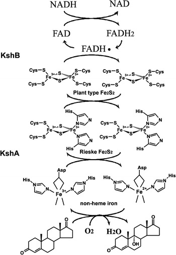 Fig. 2