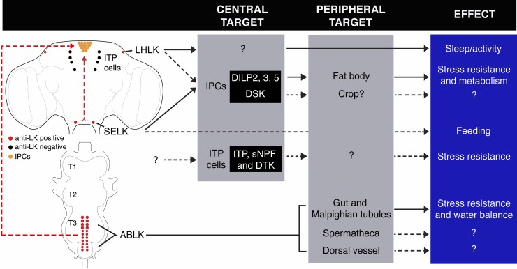 Fig 12