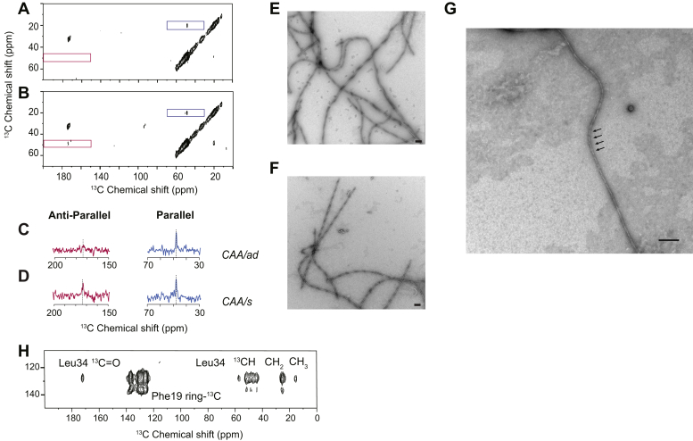 Figure 6