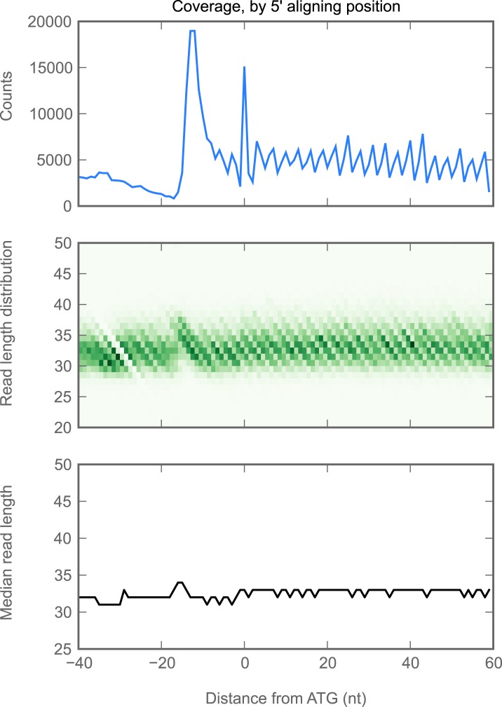 Figure 2—figure supplement 2.