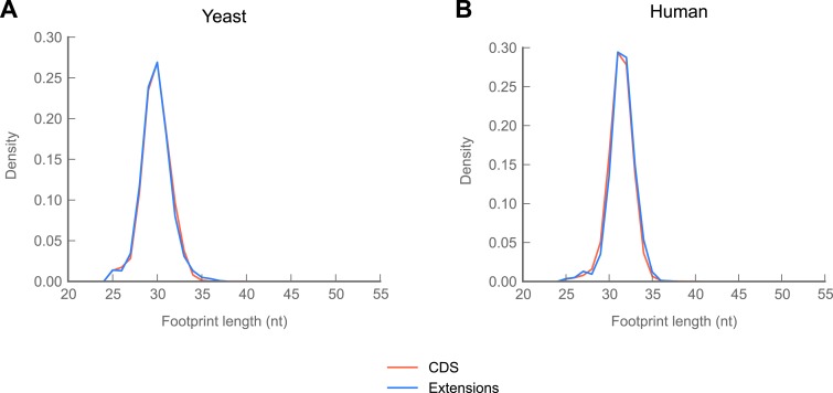 Figure 5—figure supplement 1.