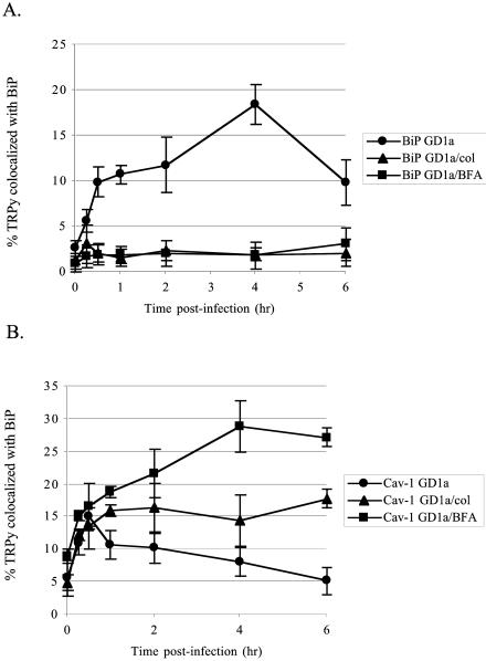 FIG. 8.