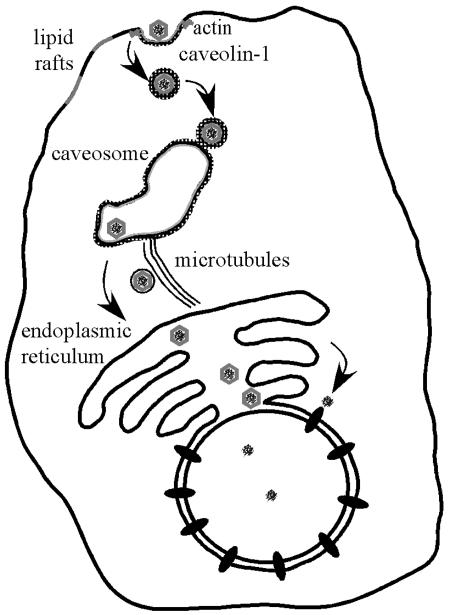 FIG. 9.