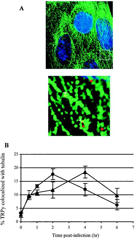 FIG. 7.