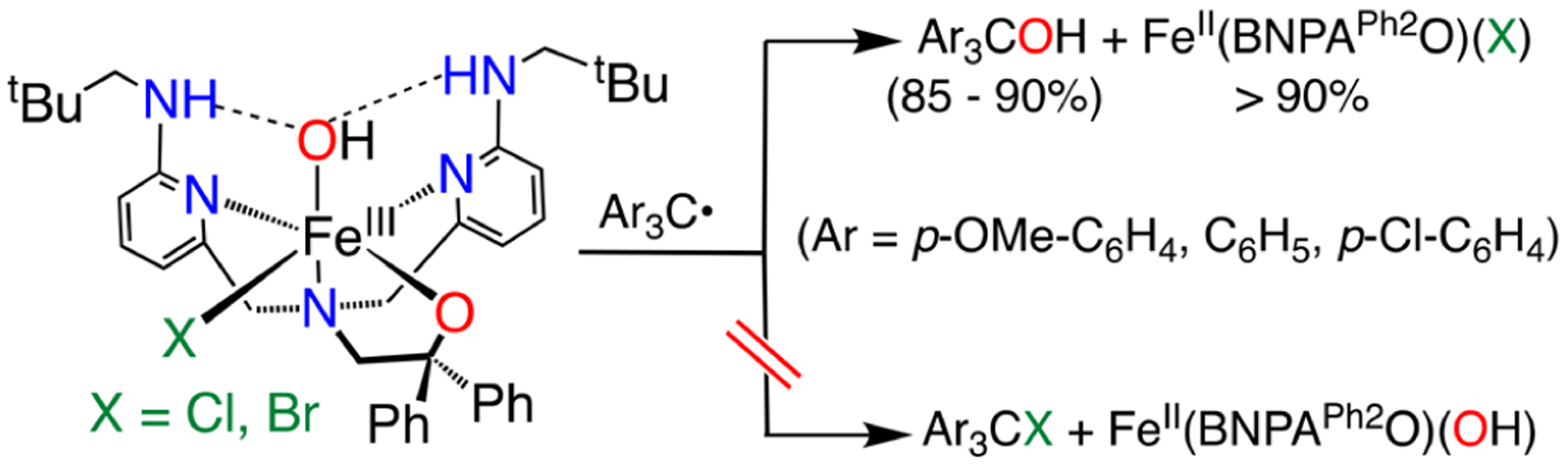 Scheme 3.