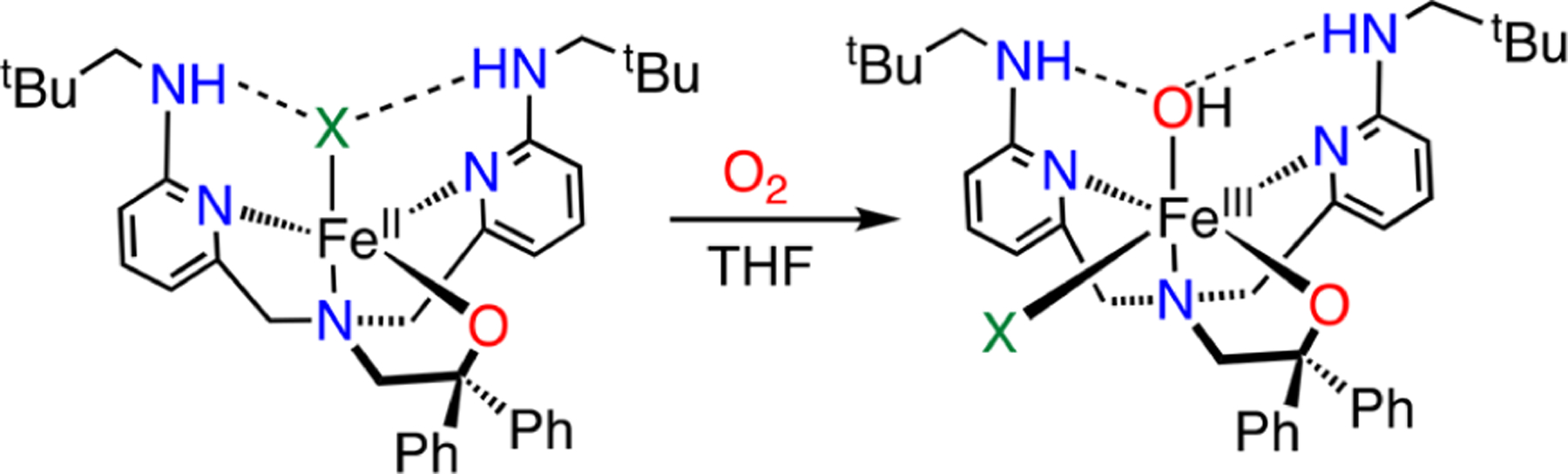 Scheme 2.