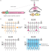 Figure 2.