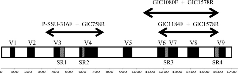 FIG 1