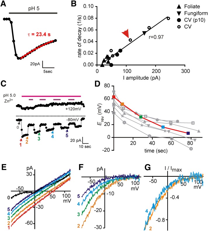 Figure 9.