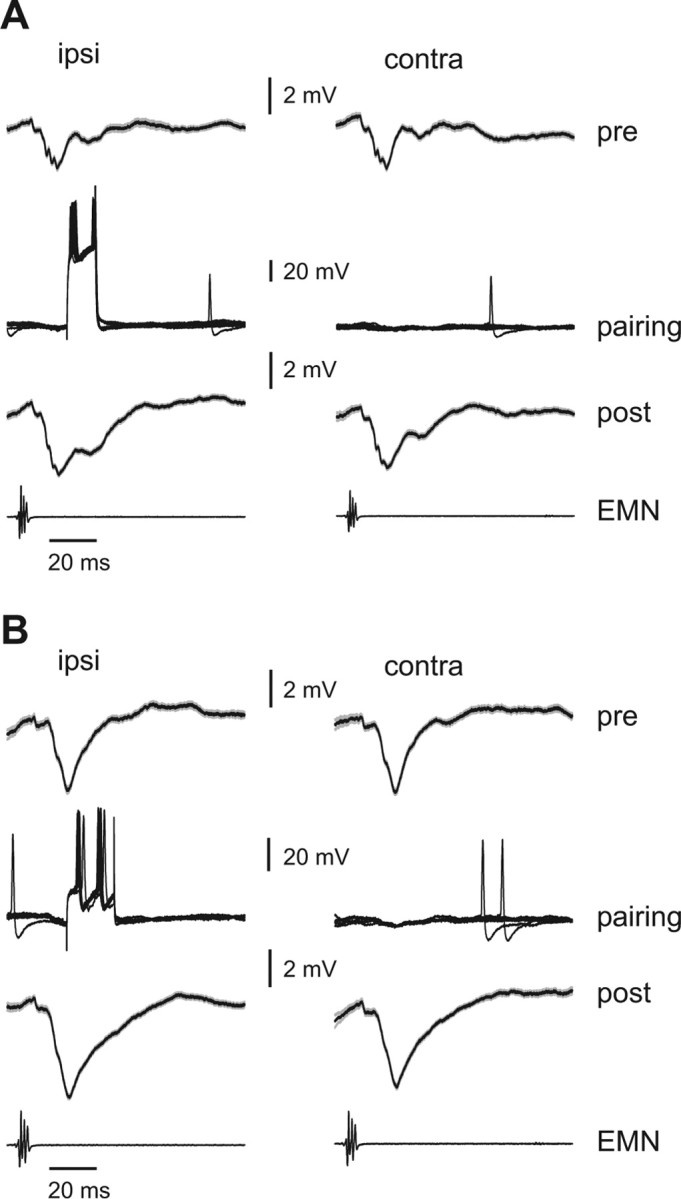 Figure 12.