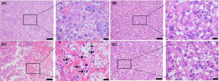 FIGURE 3