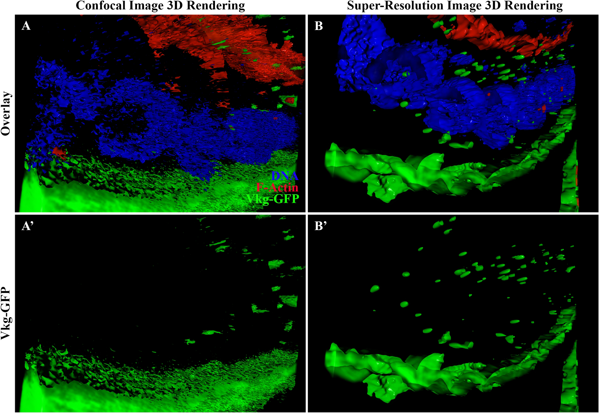 Figure 5: