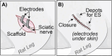 Schematic 2