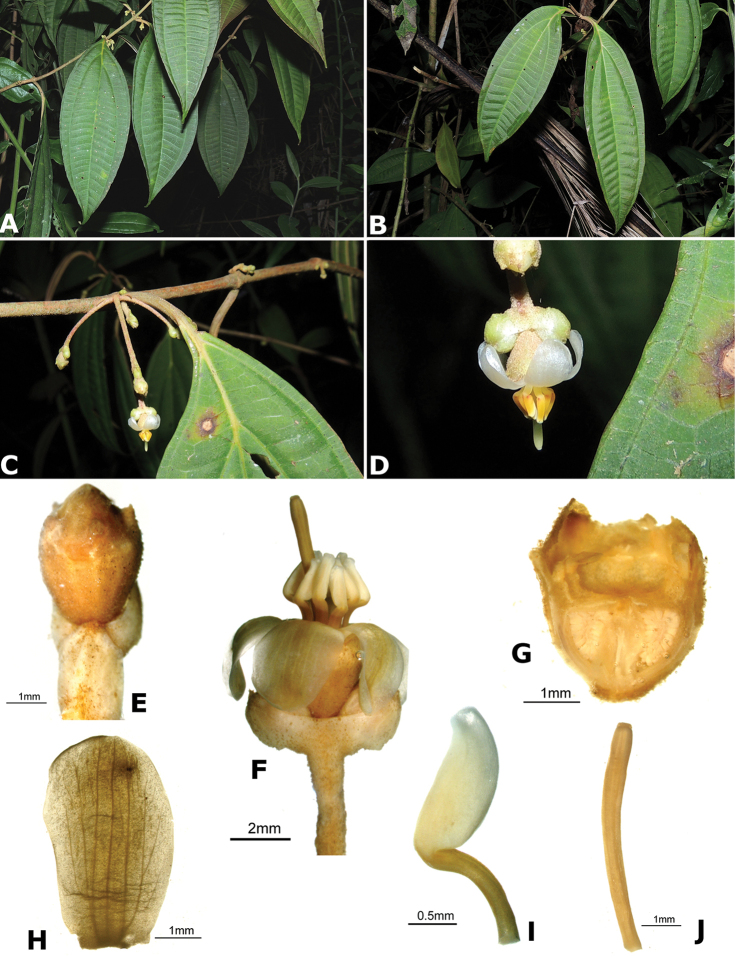 Figure 156.