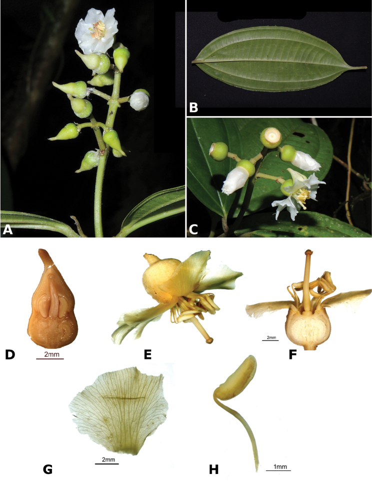 Figure 133.