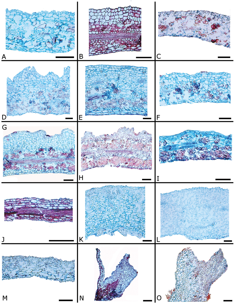 Figure 35.