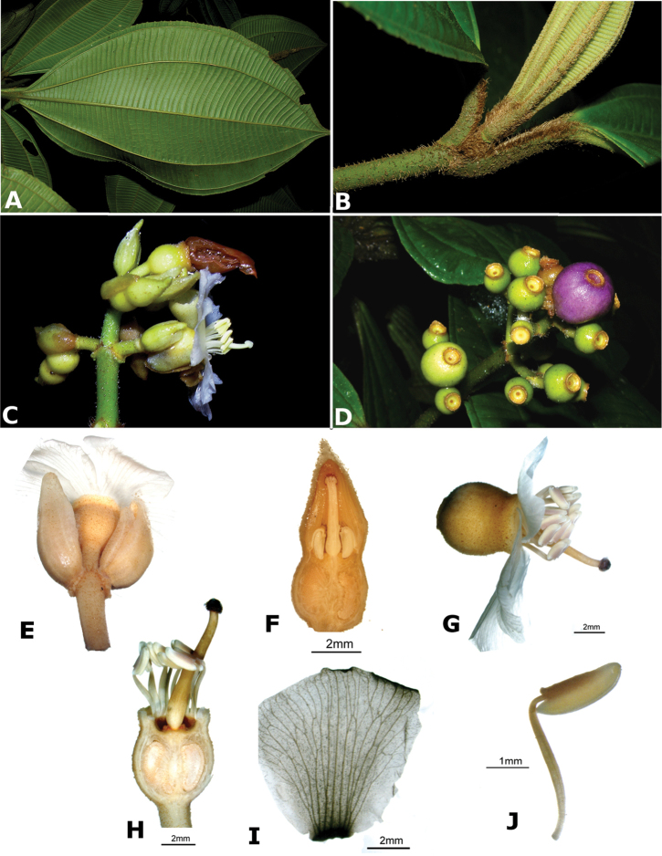 Figure 123.