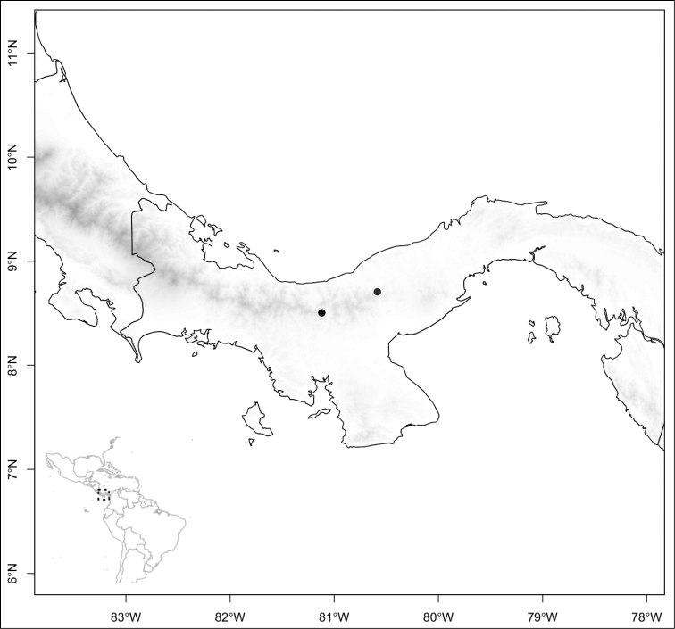 Figure 181.