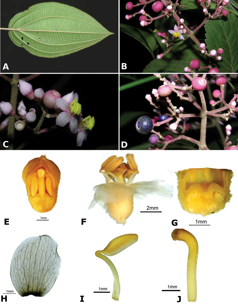 Figure 194.