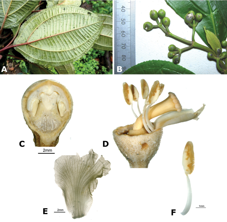 Figure 111.