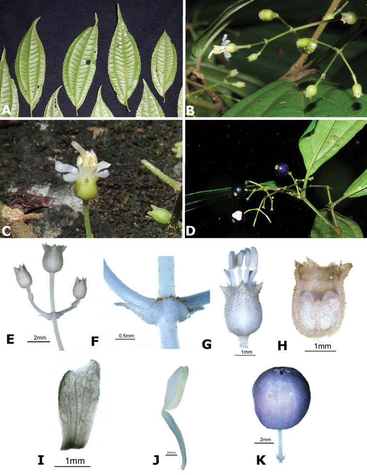 Figure 163.